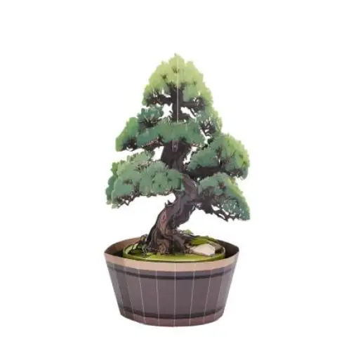 Wisdom Bonsai Pop Up Flower Bouquet - cards